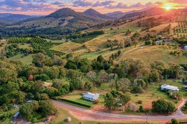 Acreage/Semi-rural For Sale - QLD - Amamoor - 4570 - Private Mary Valley Lifestyle Retreat  (Image 2)