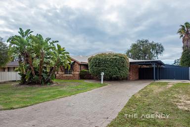 House Sold - WA - West Busselton - 6280 - Home Open Cancelled - Sorry for any Inconvenience.  (Image 2)