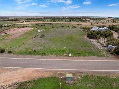 Residential Block For Sale - SA - Marion Bay - 5575 - Rural Living * Lifestyle 5000m2 Block * Country Beach side living *  (Image 2)