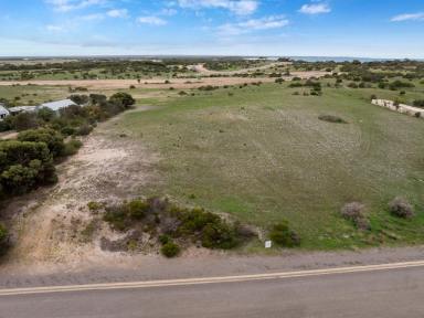 Residential Block For Sale - SA - Marion Bay - 5575 - Rural Living * Lifestyle 5000m2 Block * Country Beach side living *  (Image 2)