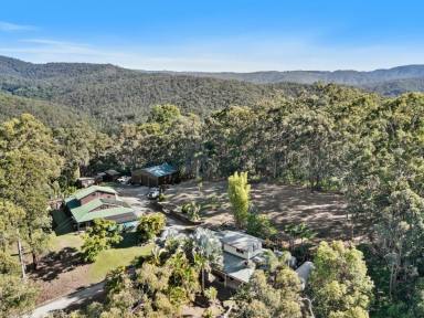 House For Sale - QLD - Bonogin - 4213 - Rare 12.5 Acre Bonogin Opportunity | Dual Living | Held & Loved for Over 30 Years!  (Image 2)
