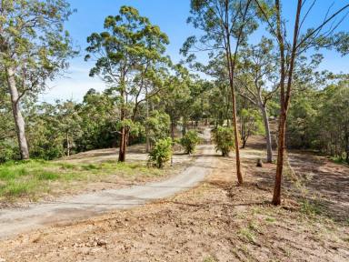 House For Sale - QLD - Bonogin - 4213 - Rare 12.5 Acre Bonogin Opportunity | Dual Living | Held & Loved for Over 30 Years!  (Image 2)