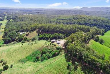 House For Lease - QLD - Cooran - 4569 - Spacious Noosa Hinterland Acreage Living with Views & Shed  (Image 2)