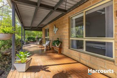 House For Sale - QLD - South Isis - 4660 - RURAL LIVING DONE RIGHT - 17 ACRES & ALL THE GOOD STUFF  (Image 2)