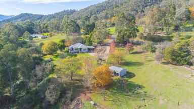 Acreage/Semi-rural For Sale - VIC - Buffalo River - 3737 - 5 Acres With Buffalo River Frontage & Views  (Image 2)