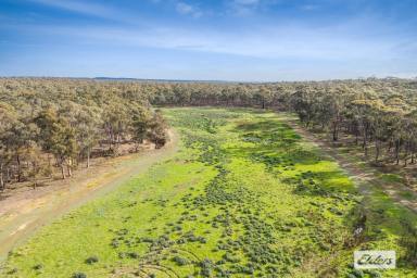 Residential Block For Sale - VIC - Lockwood - 3551 - Mix of Bush and Fertile Land – 3 Blocks Lockwood  (Image 2)