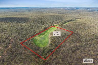 Residential Block For Sale - VIC - Lockwood - 3551 - Mix of Bush and Fertile Land – 3 Blocks Lockwood  (Image 2)