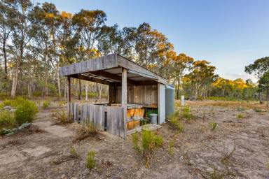 Residential Block For Sale - VIC - Mandurang South - 3551 - 1.6Ha Lifestyle block on the edge of the Bendigo Regional Park with an Approved Planning Permit in Place!  (Image 2)