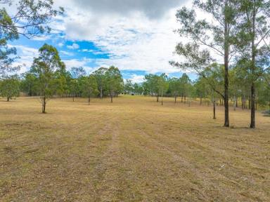 Acreage/Semi-rural For Sale - QLD - Widgee - 4570 - Rural Retreat in the Heart of Widgee  (Image 2)