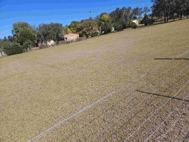 Residential Block For Sale - QLD - Goomeri - 4601 - GOOMERI HOUSE BLOCKS  (Image 2)