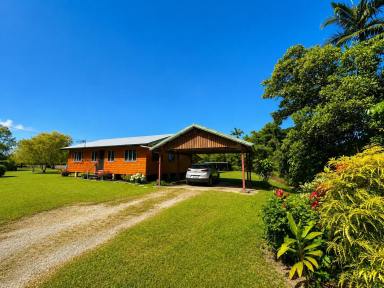 House For Sale - QLD - Feluga - 4854 - Perfect Country Living  (Image 2)