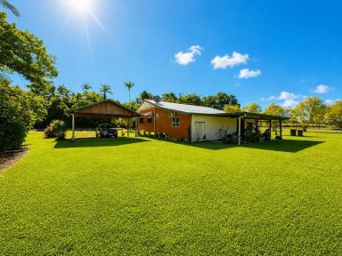 House For Sale - QLD - Feluga - 4854 - Perfect Country Living  (Image 2)