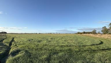 Lifestyle For Sale - SA - Penola - 5277 - Rare Lifestyle Opportunity Just Minutes From Penola  (Image 2)