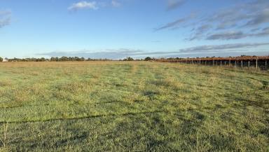 Lifestyle For Sale - SA - Penola - 5277 - Rare Lifestyle Opportunity Just Minutes From Penola  (Image 2)