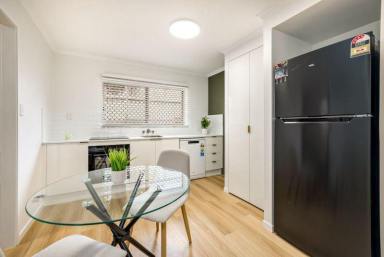 Townhouse Leased - QLD - Atherton - 4883 - 2 Bed Town House For rent, fully renovated and walking distance to shops  (Image 2)