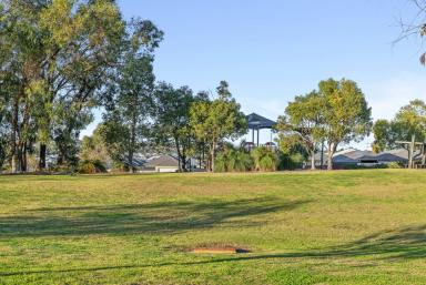House For Sale - WA - Beeliar - 6164 - Parkside Living with Space to Grow  (Image 2)