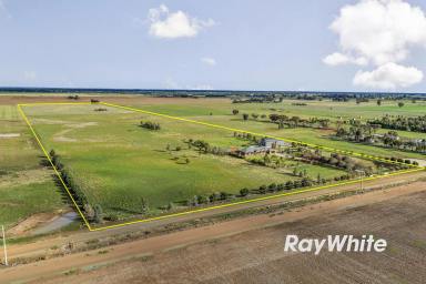 Lifestyle For Sale - VIC - Echuca West - 3564 - A Stunning Lifestyle Opportunity on 50 Acres  (Image 2)