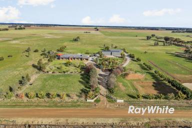 Lifestyle For Sale - VIC - Echuca West - 3564 - A Stunning Lifestyle Opportunity on 50 Acres  (Image 2)