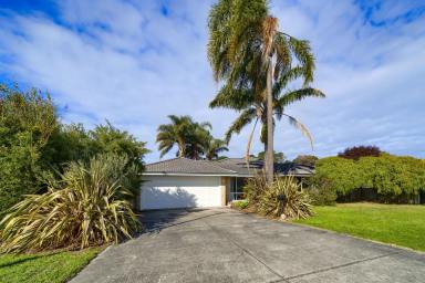 House Sold - WA - Collingwood Park - 6330 - Spacious Family Home 4 x 2  (Image 2)