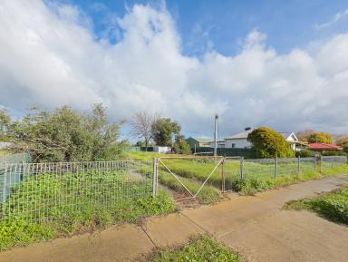 Residential Block For Sale - VIC - Kerang - 3579 - Affordable block  (Image 2)