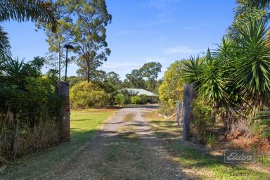 House For Sale - QLD - Glenwood - 4570 - ELEVATED LIVING, RURAL OUTLOOK (Image 2)