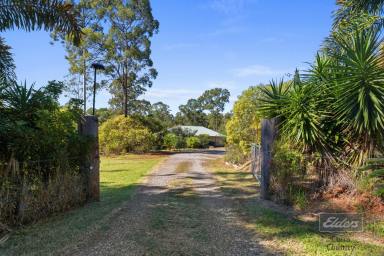 House For Sale - QLD - Glenwood - 4570 - ELEVATED LIVING, RURAL OUTLOOK  (Image 2)
