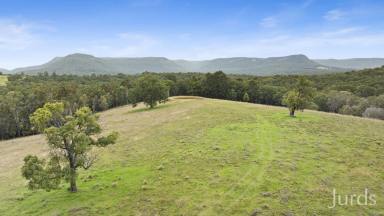 Lifestyle For Sale - NSW - Mulbring - 2323 - 180 Acres of Prime Rural Paradise in the Stunning Mulbring Valley  (Image 2)
