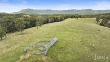 Lifestyle Sold - NSW - Mulbring - 2323 - 180 Acres of Prime Rural Paradise in the Stunning Mulbring Valley (Image 2)