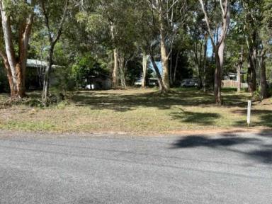 Residential Block For Sale - QLD - Macleay Island - 4184 - Beautiful 607m2 Block Ready to Build on - Power installed & Septic in place!!  (Image 2)