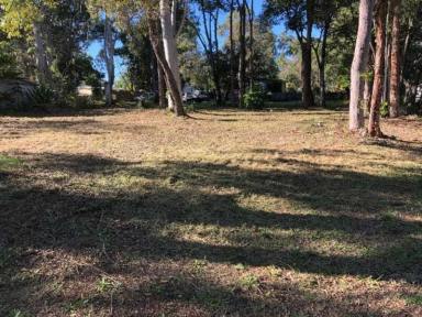 Residential Block For Sale - QLD - Macleay Island - 4184 - Beautiful 607m2 Block Ready to Build on - Power installed & Septic in place!!  (Image 2)