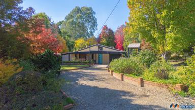House For Sale - VIC - Myrtleford - 3737 - Mud Brick Home on 3 Acres  (Image 2)