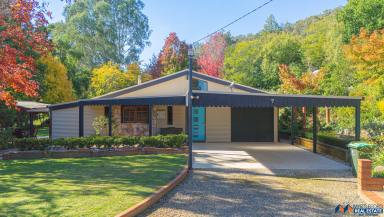 House For Sale - VIC - Myrtleford - 3737 - Mud Brick Home on 3 Acres  (Image 2)