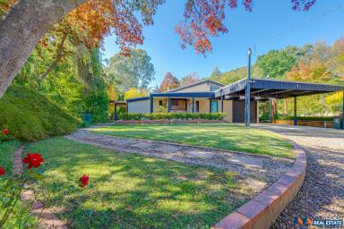 House For Sale - VIC - Myrtleford - 3737 - Mud Brick Home on 3 Acres  (Image 2)
