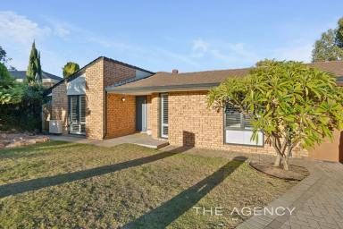 House For Sale - WA - Joondalup - 6027 - STYLISH FAMILY ENTERTAINER WITH POOL  (Image 2)
