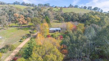Lifestyle For Sale - VIC - Myrtleford - 3737 - Rammed Earth Sanctuary  (Image 2)