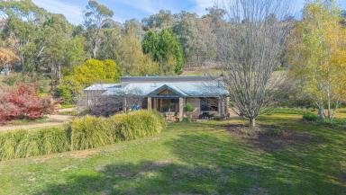 Lifestyle For Sale - VIC - Myrtleford - 3737 - Rammed Earth Sanctuary  (Image 2)