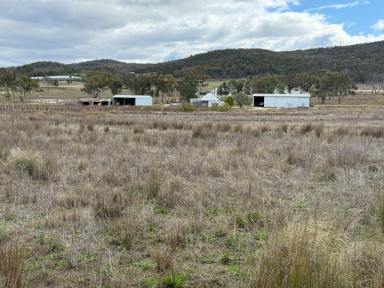 Mixed Farming For Sale - QLD - Glen Aplin - 4381 - Glen Aplin Wine and Lifestyle Country  (Image 2)