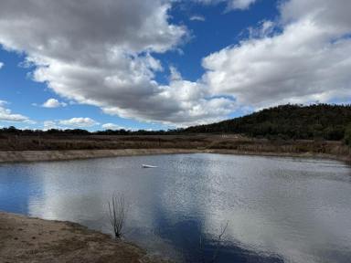 Mixed Farming For Sale - QLD - Glen Aplin - 4381 - Glen Aplin Wine and Lifestyle Country  (Image 2)