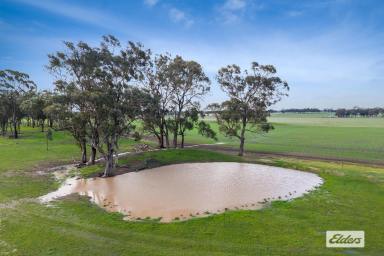 Residential Block For Sale - VIC - Neilborough - 3570 - Affordable Hobby Farm with Potential  (Image 2)