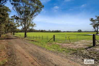 Residential Block For Sale - VIC - Neilborough - 3570 - Affordable Hobby Farm with Potential  (Image 2)