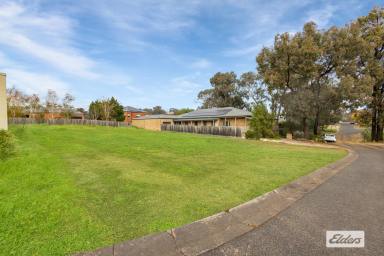 Residential Block For Sale - VIC - Strathdale - 3550 - Build Your Future in a Highly Sought-After Locale  (Image 2)
