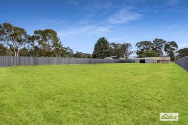 House Sold - VIC - Strathfieldsaye - 3551 - 2,037sqm Strategic Site in Mixed Use Zone, Awaiting Your Commercial and/or Residential Development (Image 2)