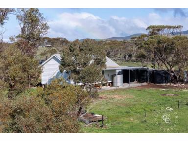 Acreage/Semi-rural For Sale - SA - Cambrai - 5353 - Ideal Off Grid Lifestyle Property  (Image 2)