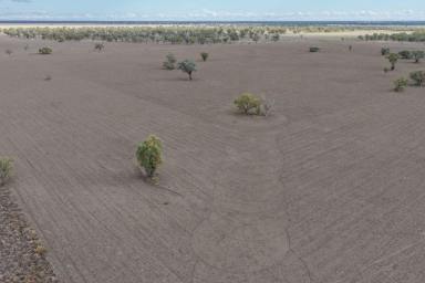 Other (Rural) Auction - NSW - Walgett - 2832 - Narella Park & The Block  (Image 2)