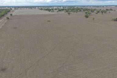 Other (Rural) Auction - NSW - Walgett - 2832 - Narella Park & The Block  (Image 2)