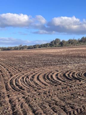 Cropping For Sale - WA - Copley - 6562 - Rare Rural Landholding - 122ha in Copley, Shire of Northam  (Image 2)