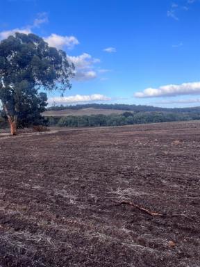 Cropping For Sale - WA - Copley - 6562 - Rare Rural Landholding - 122ha in Copley, Shire of Northam  (Image 2)