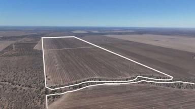 Other (Rural) For Sale - NSW - Walgett - 2832 - "Warrindilla" Walgett (Image 2)