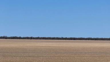 Other (Rural) For Sale - NSW - Walgett - 2832 - "Warrindilla" Walgett (Image 2)