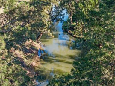 Lifestyle For Sale - QLD - Freestone - 4370 - Large Creek Frontage on 14.09 Ha with Large Shed  (Image 2)